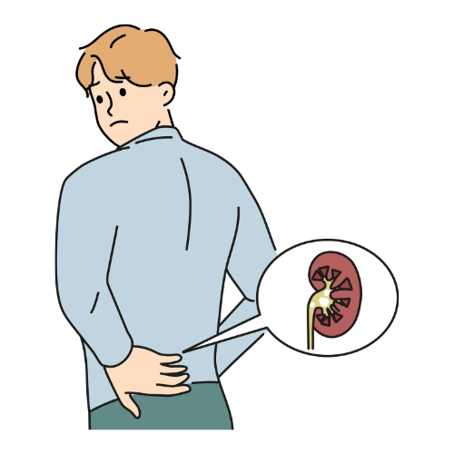 Renal transplantation Conferences