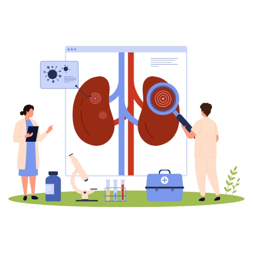Renal transplantation Conferences