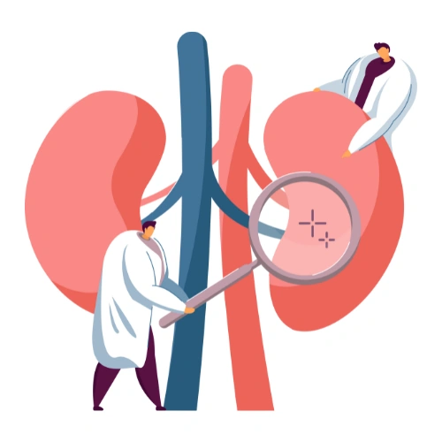 Renal transplantation Conferences
