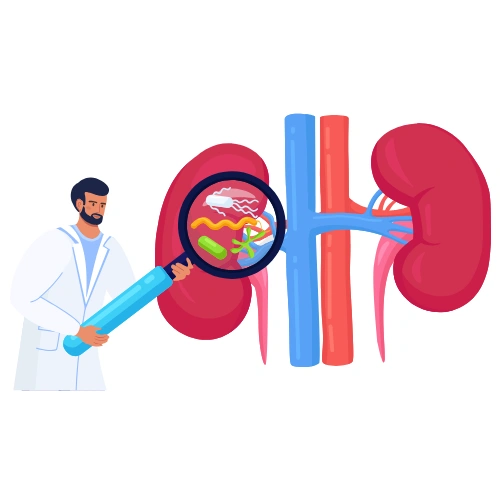 Renal transplantation Conferences