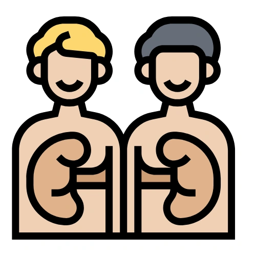 Renal transplantation Conferences