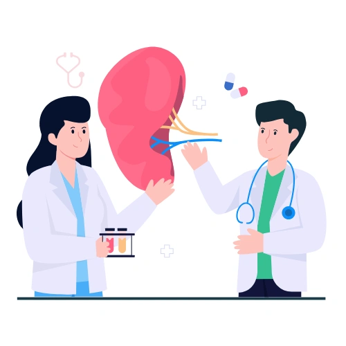 Renal transplantation Conferences