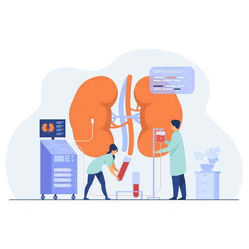Renal transplantation Conferences