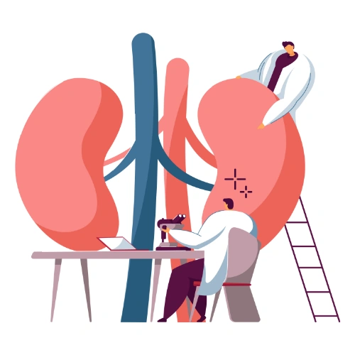 Renal transplantation Conferences