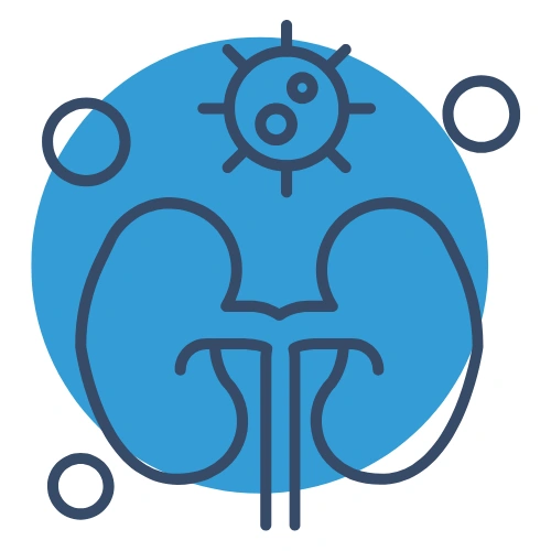 Renal transplantation Conferences