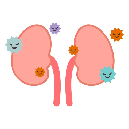 Renal transplantation Conferences