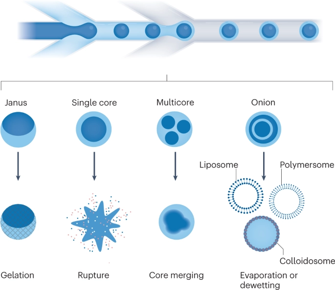 Assessment of kidney function Conferences Assessment of kidney function Conferences